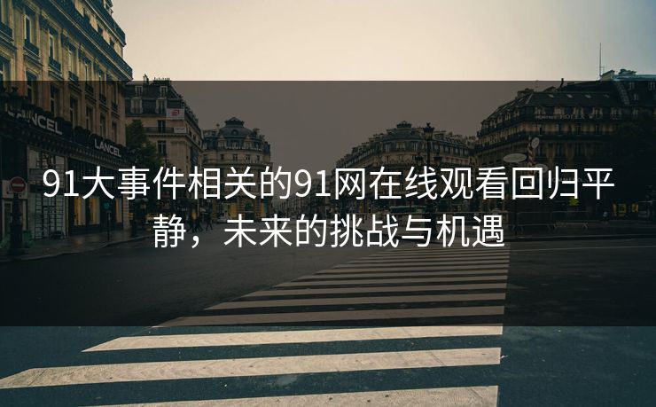 91大事件相关的91网在线观看回归平静，未来的挑战与机遇